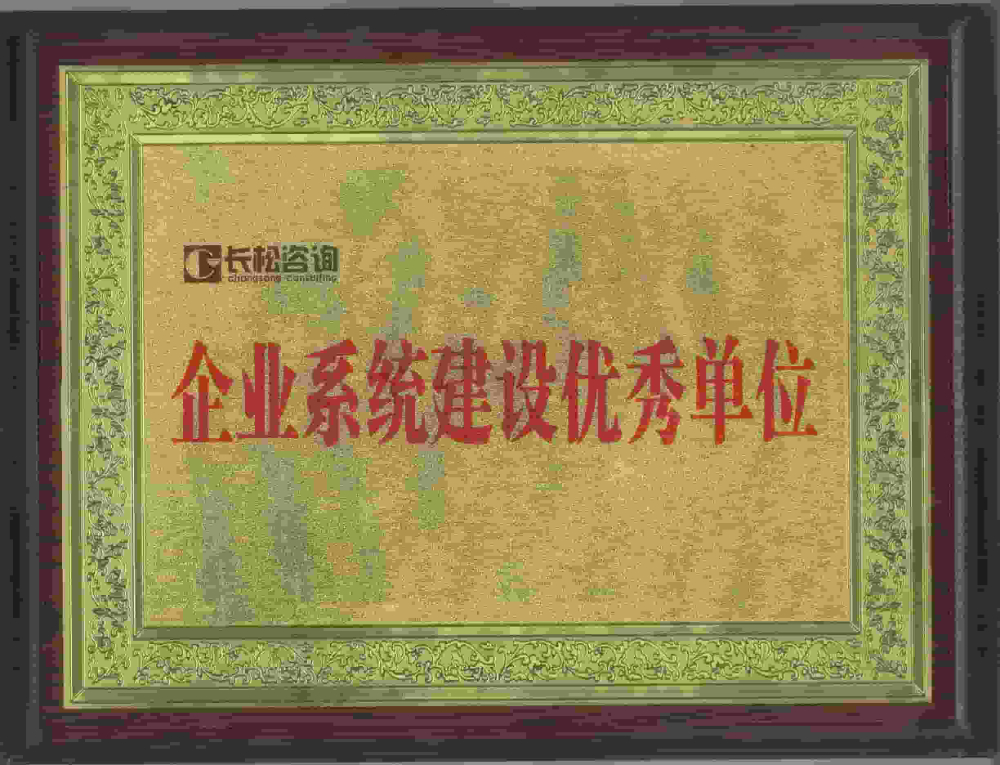 长松企业系统建设.jpg