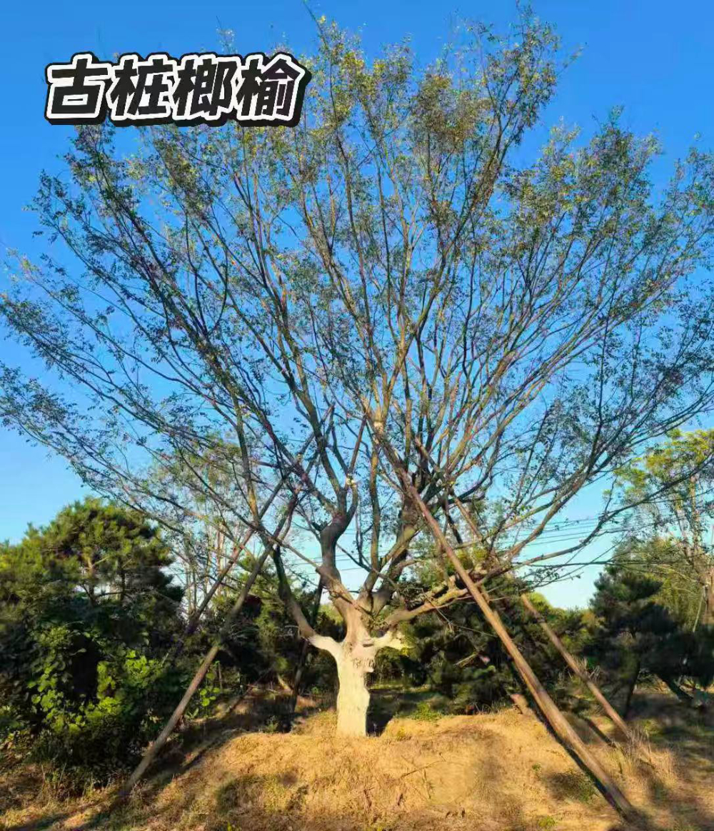微信图片_20260902173652_49_8.jpg