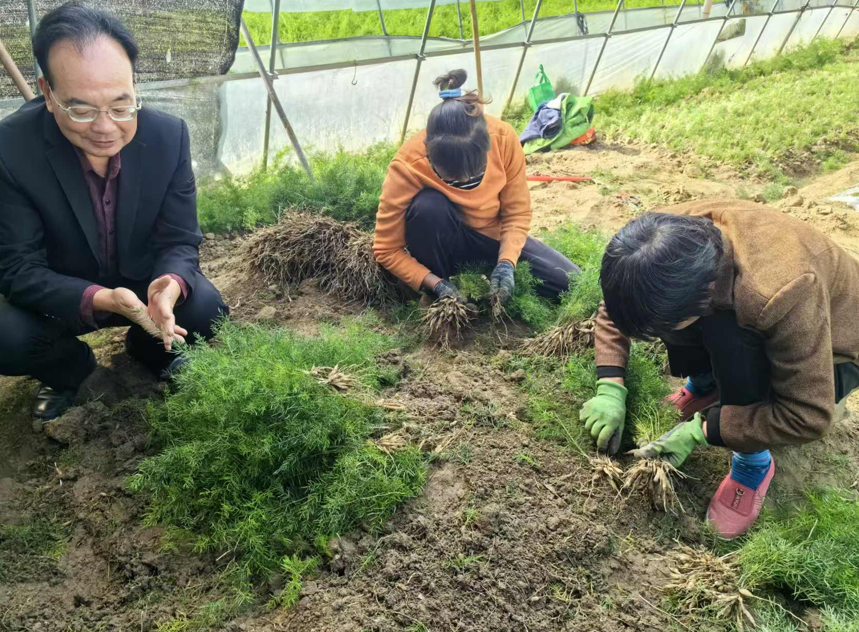 2026精选陕西知名的草本种苗哪家好哪个好？从这几点判...