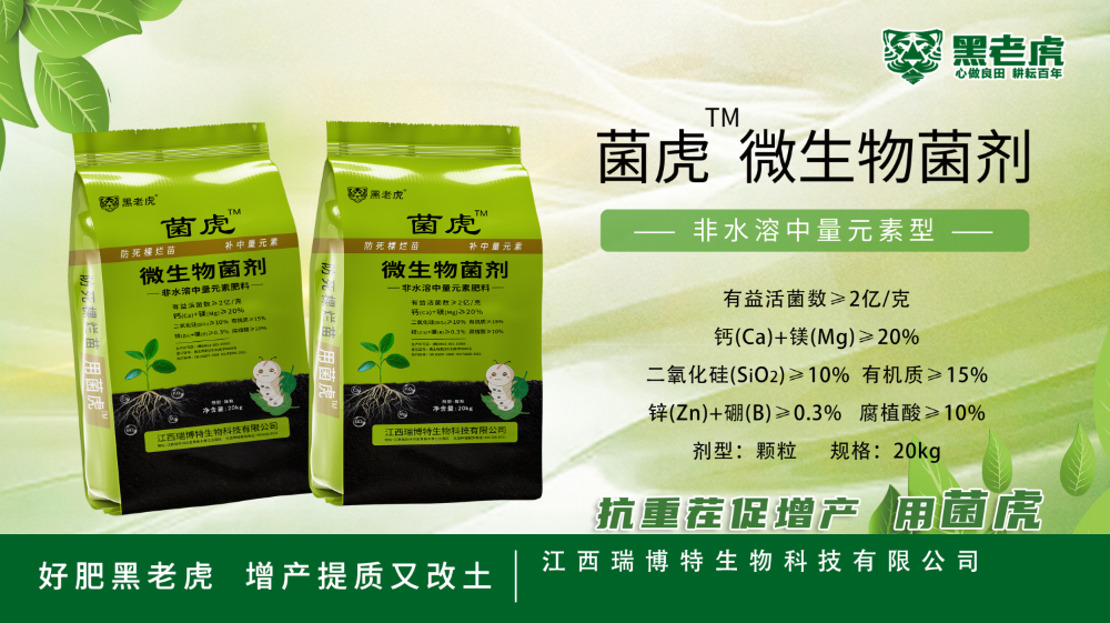 江西自主研发含菌有机无机复混肥公司选择标准