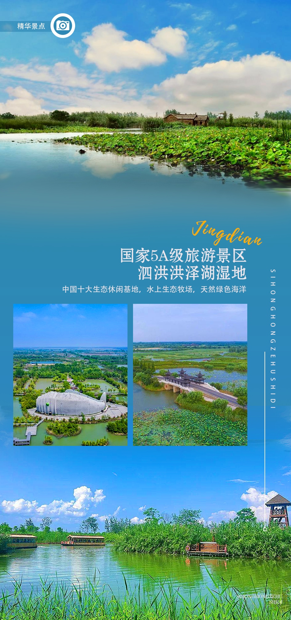 泗洪洪泽湖湿地.jpg