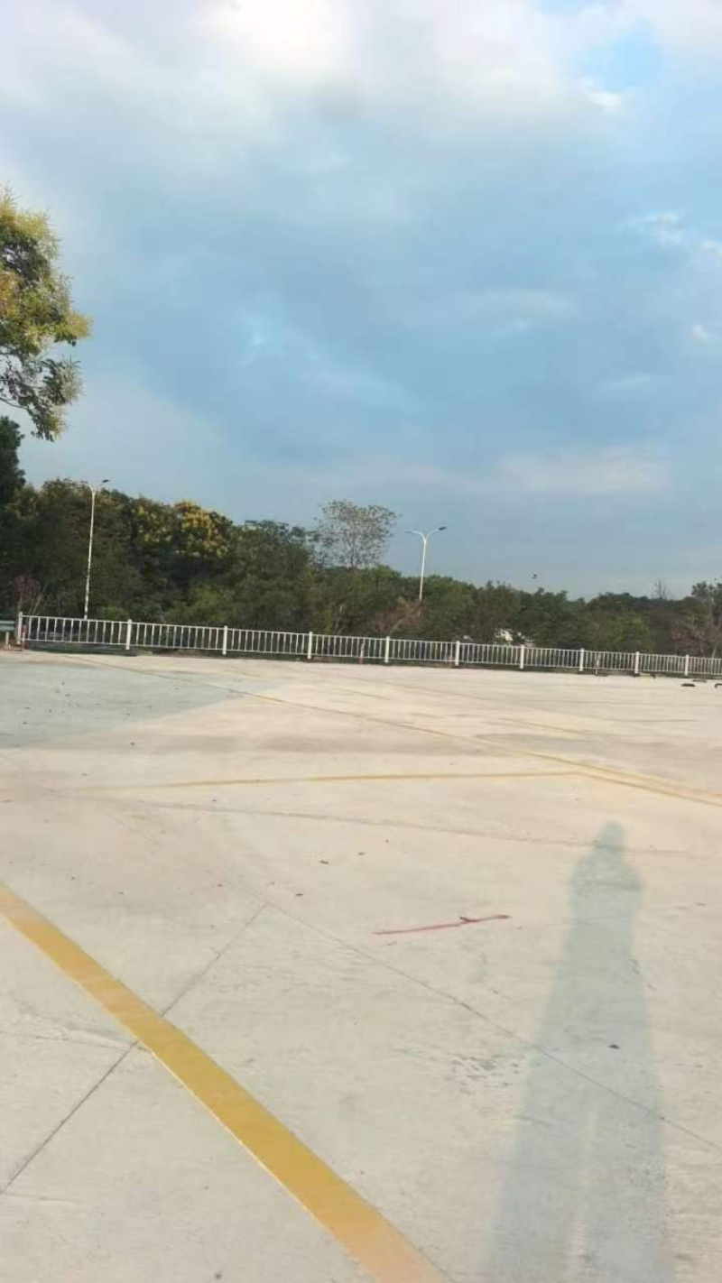 2026精选苏州驾考合规驾校选择指南：拿证快，就选相城...