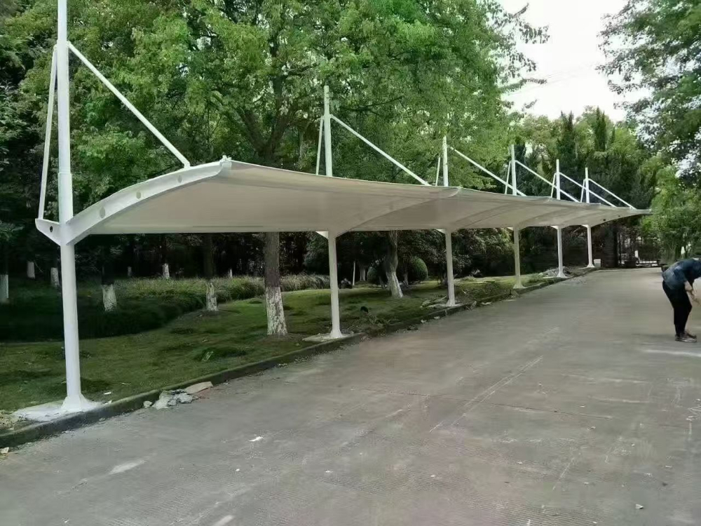 c09edc73-5528-429c-bd6c-ec8047b5037b.jpg
