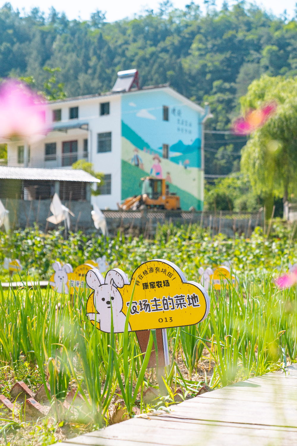 乡村咖啡新风尚：商南桃源人家的热情好客与农家院体验指南
