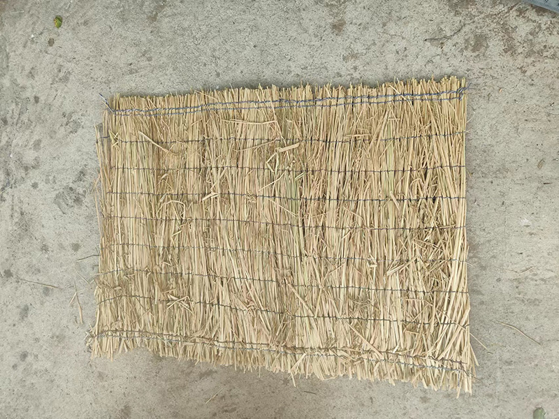 4e40f431-e009-421b-b9c3-e43396a05897.jpg