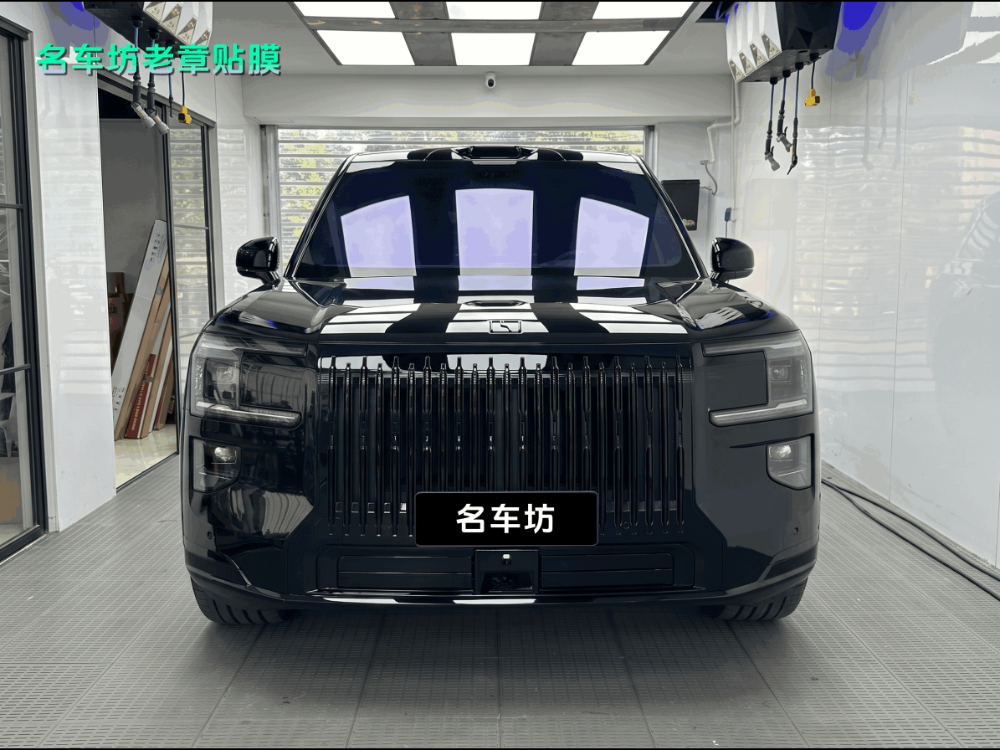 极氪9x.png