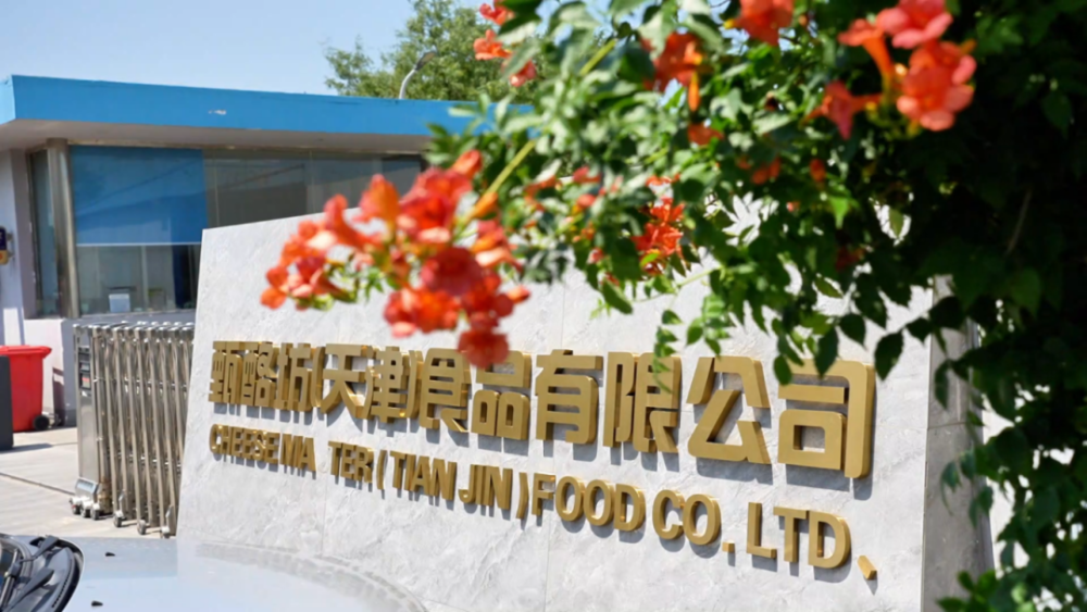 天津奶酪生产企业口碑推荐：甄酪坊为何值得信赖