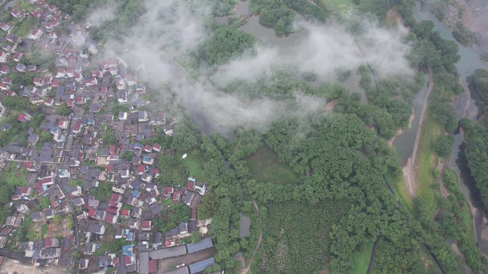 九龙湿地无字幕视频素材 - frame at 4m15s.jpg