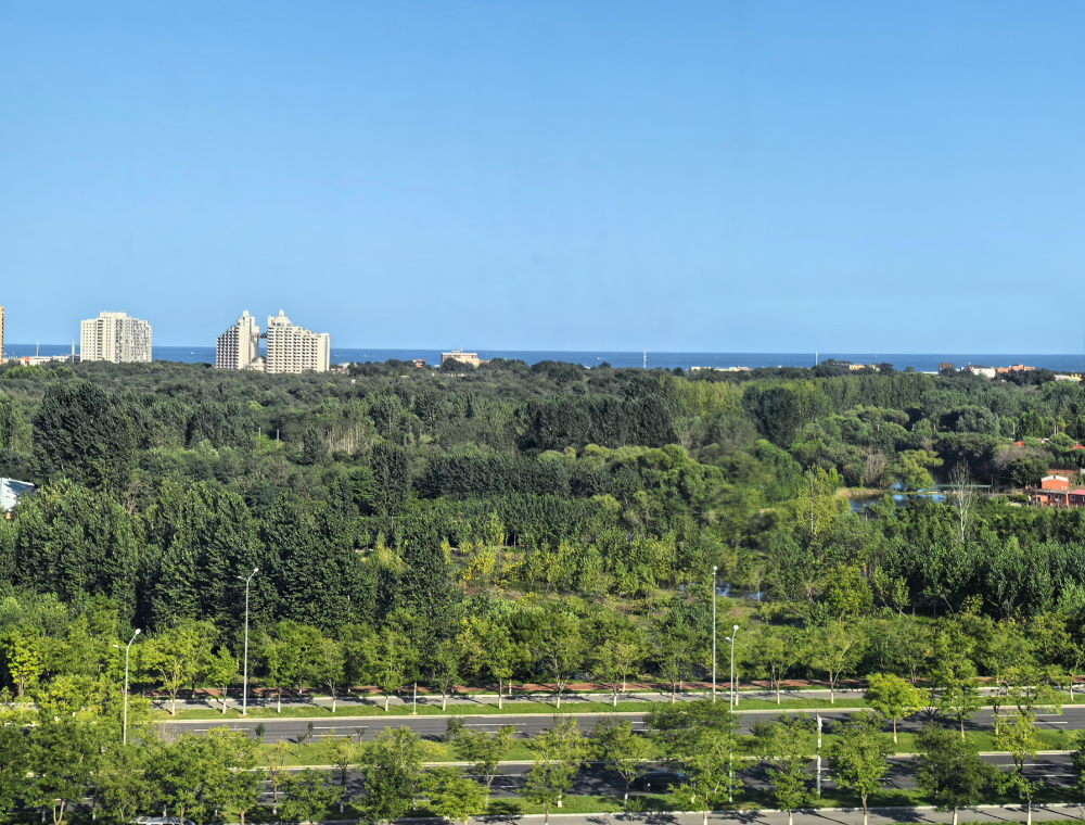 海宸府东侧海景.jpg