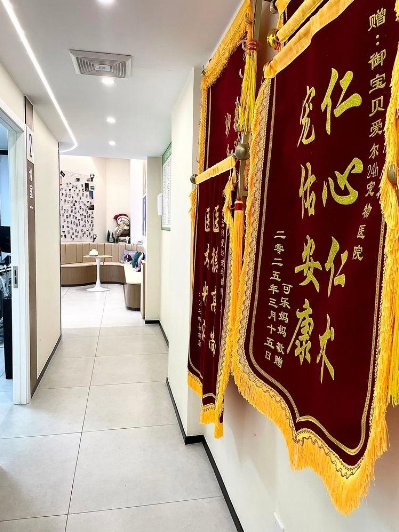 厦门24小时眼科动物医院怎么选？专科设备与专家团队才是关键