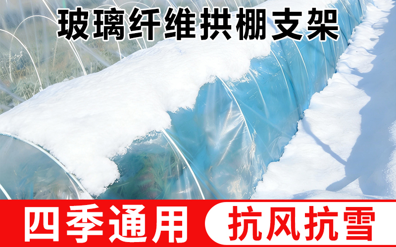实心6.jpg