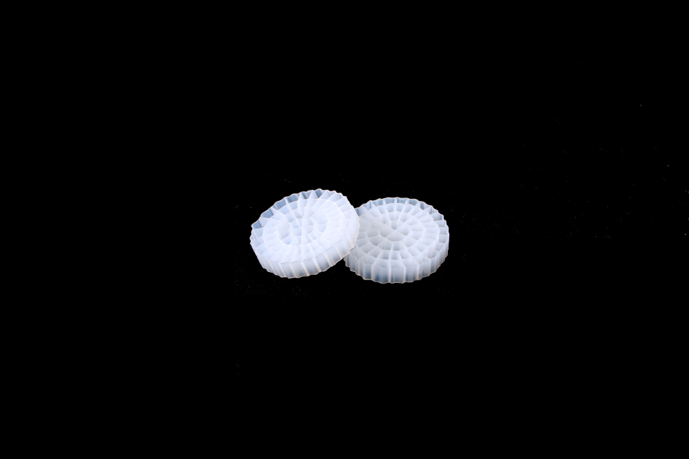 CO3A7943.JPG