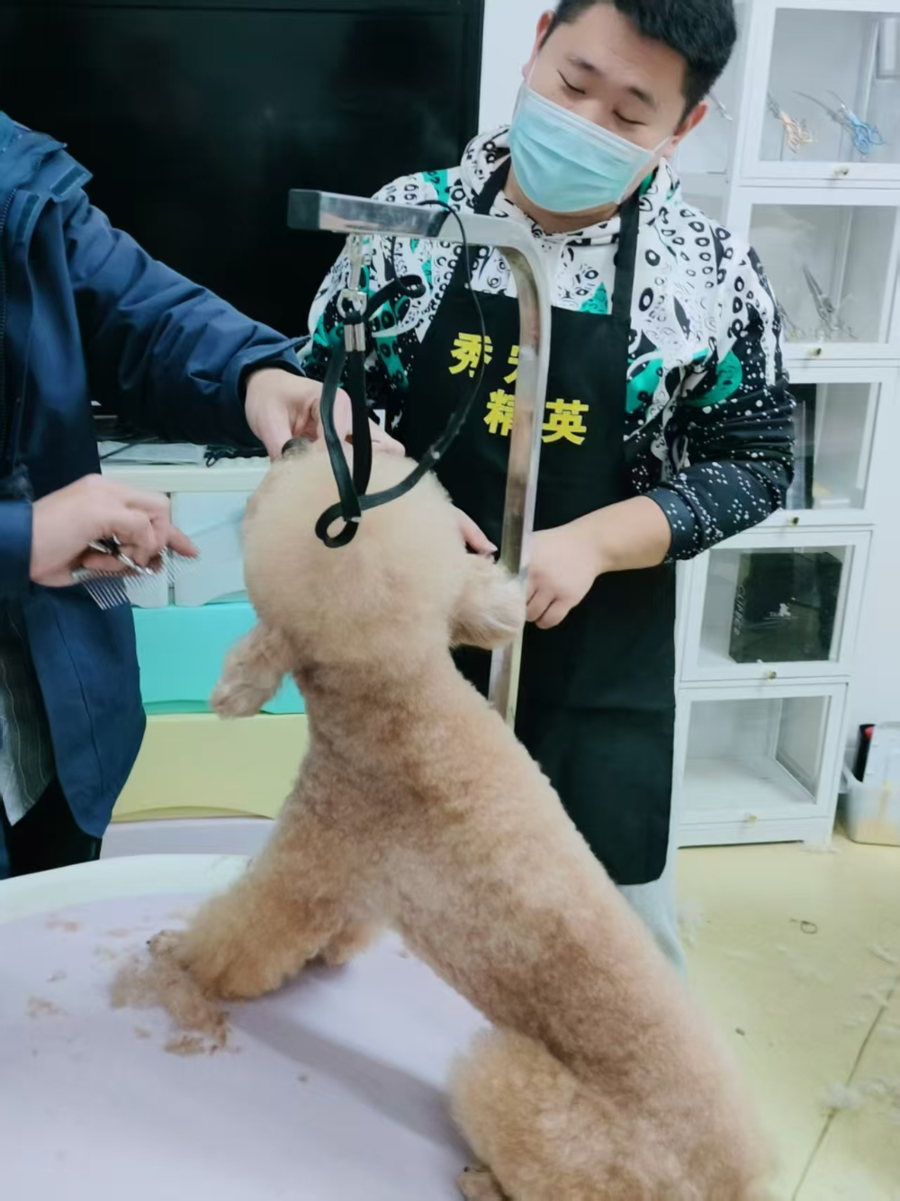 微信图片_20251117161132_479_119.jpg