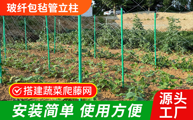 包毡49.jpg
