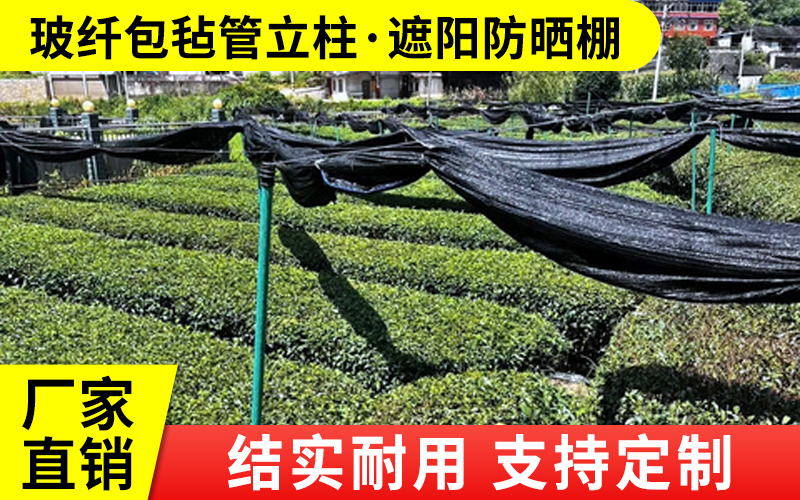 包毡25.jpg