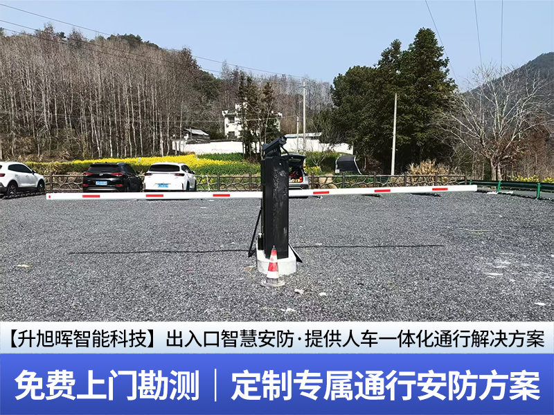 画板 19.png