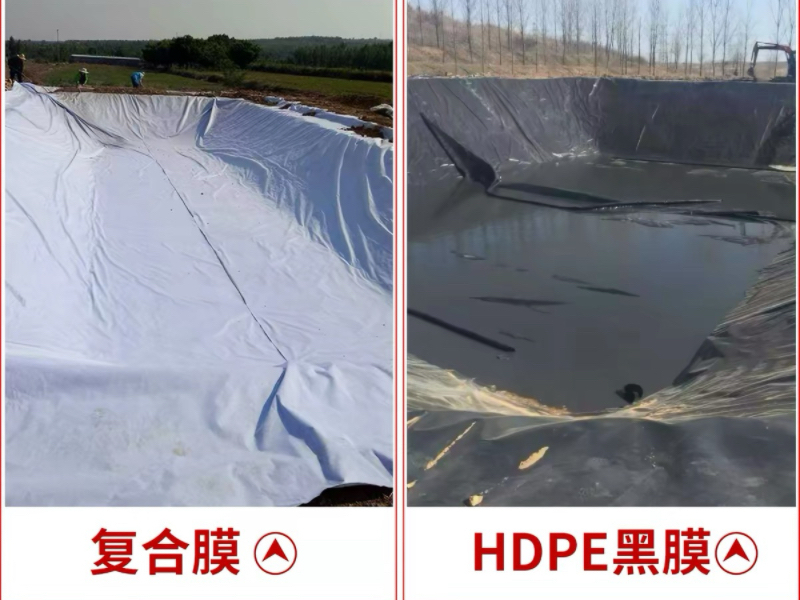 微信图片_20260929164252_39_193.jpg