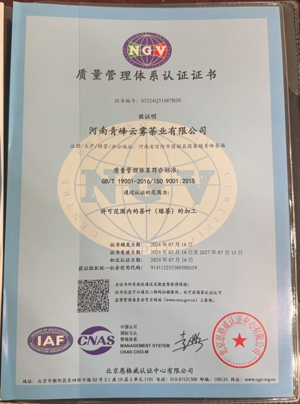 9001质量管理体系认证.jpg