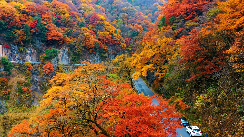 神农顶-鬼头湾.jpg
