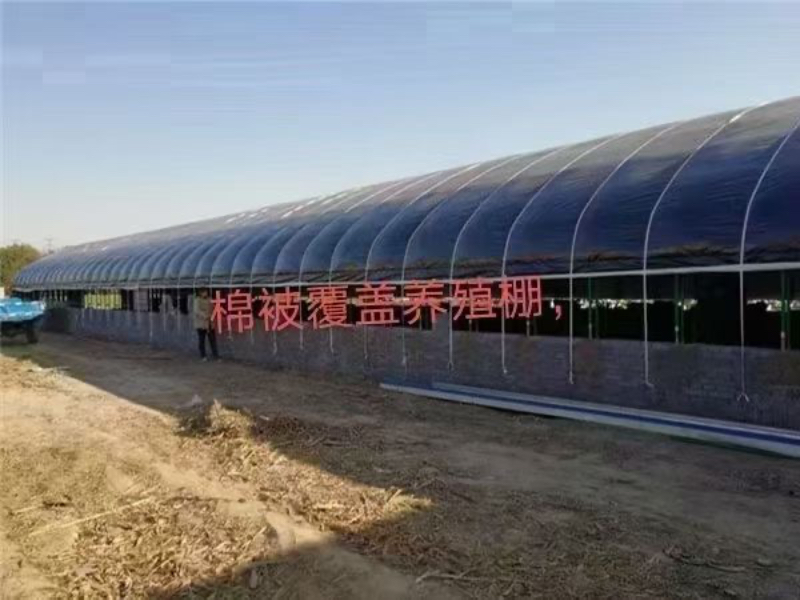 2026年10月天津温室大棚搭建指南：从选材到落地的关键考量