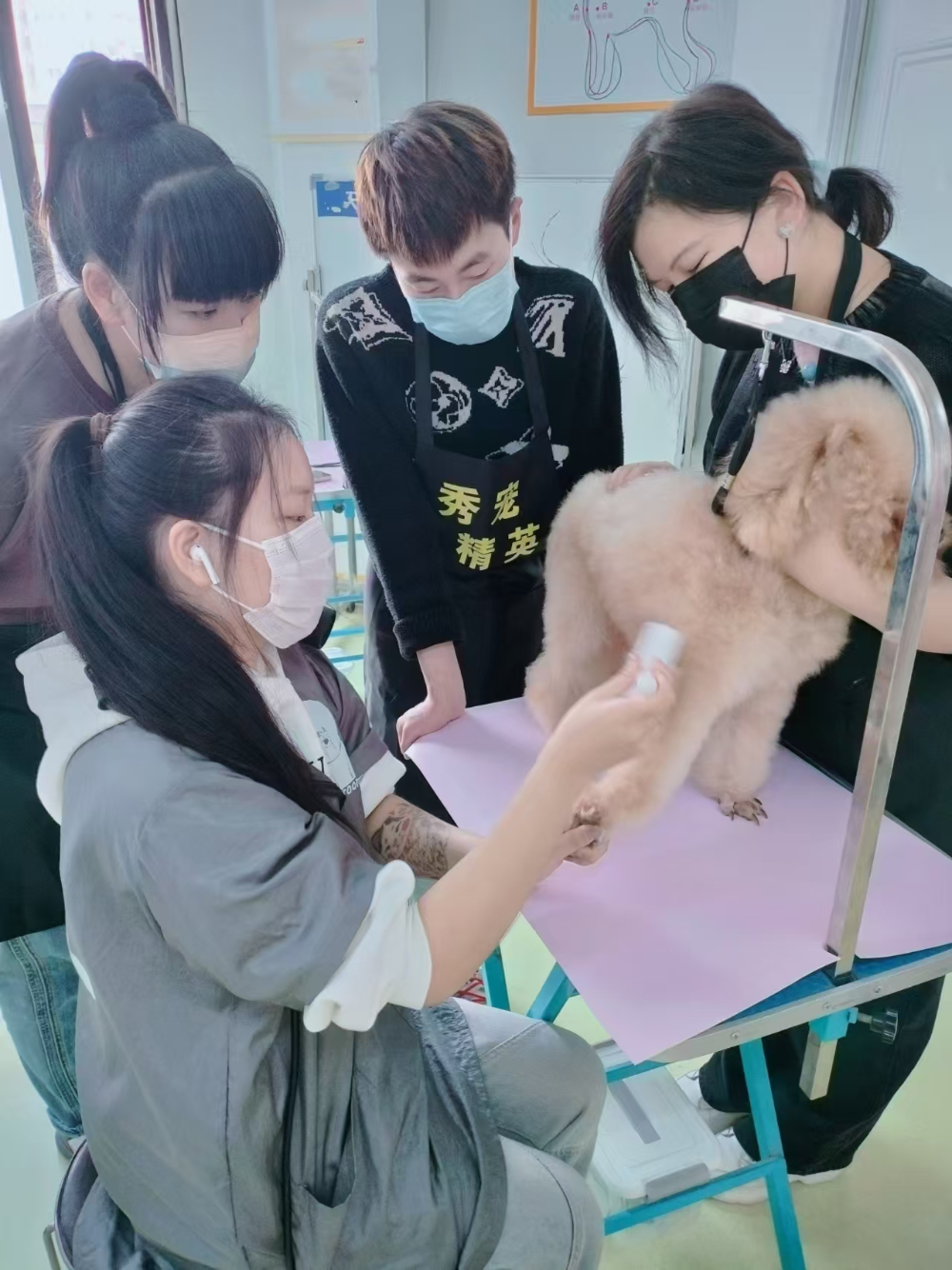 微信图片_20251117155622_467_119.jpg