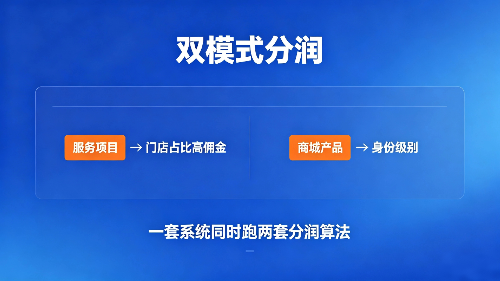 4.双模式分润.png