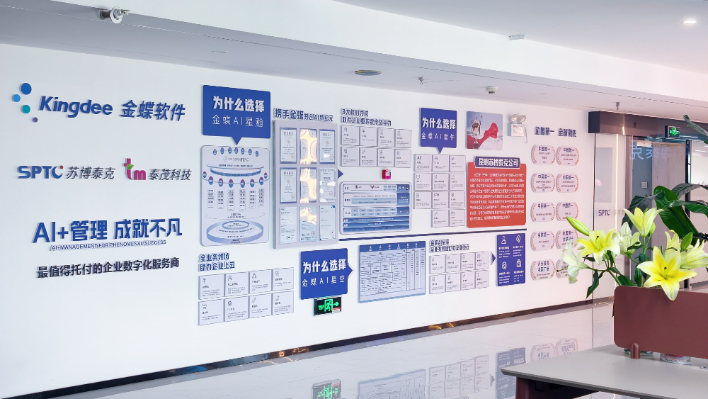 2026年10月金蝶管理软件选型与落地指南：苏博泰克为...