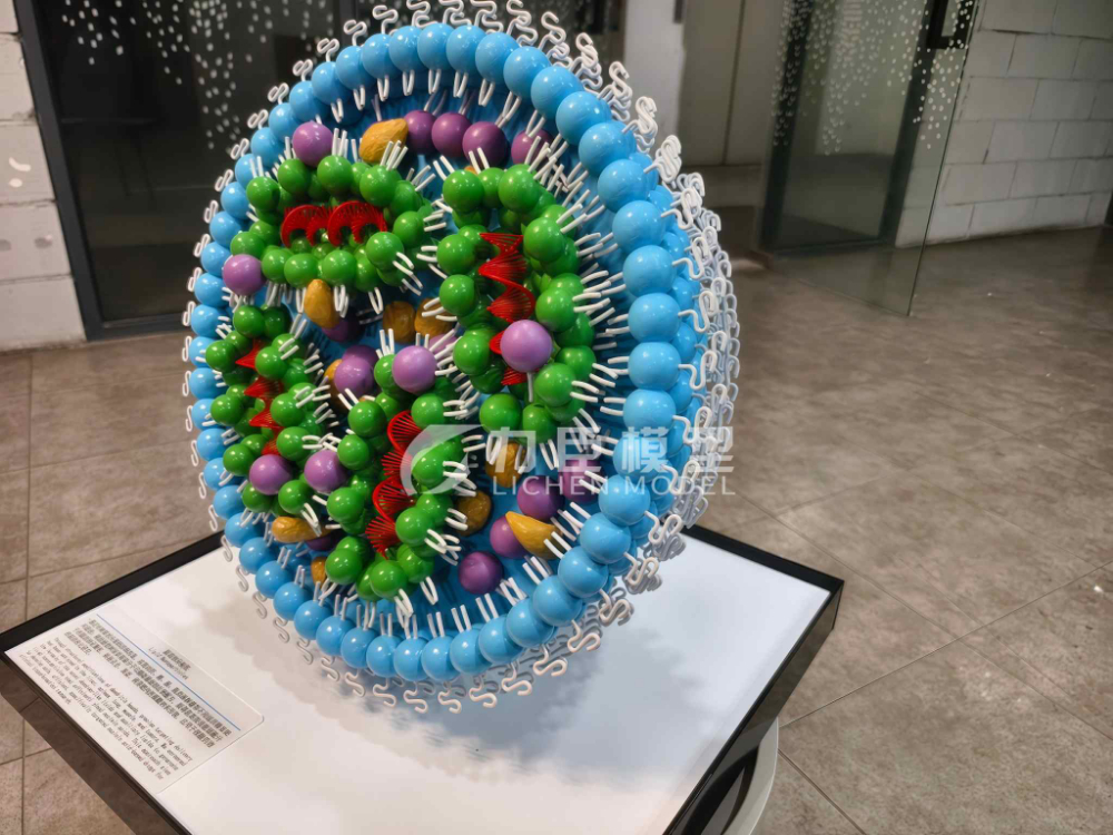 细胞分子模型.jpg