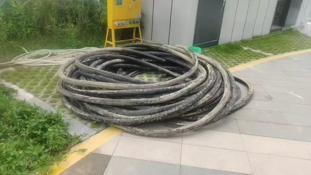 微信图片_20261026143216_45_1317.jpg