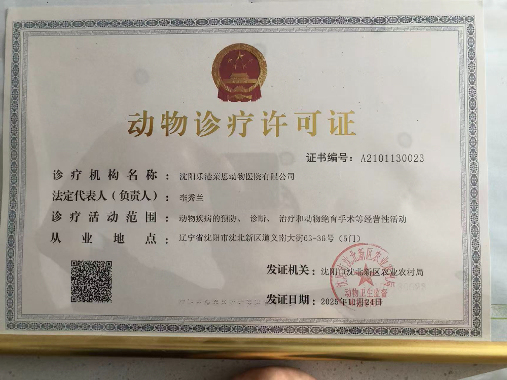 2026优选沈阳宠物急救诊疗中心怎么选择实用标准