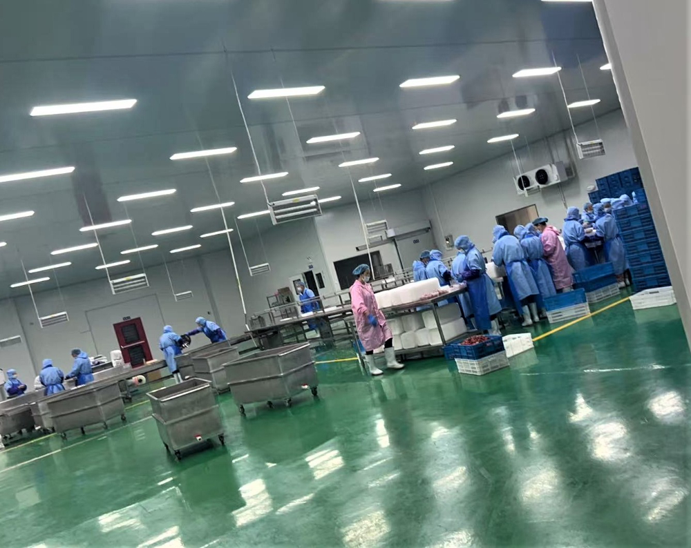 2026优选苏州家庭便捷烹饪虾优质公司推荐：液氮锁鲜熟...