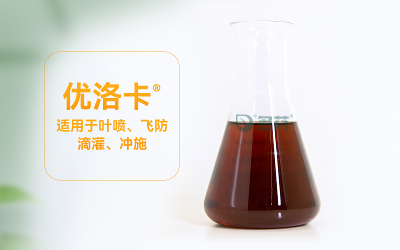 2026年底甘肃大田作物液体肥哪家好，有实力靠谱专业厂...
