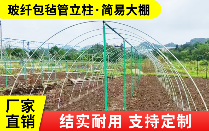 包毡1.jpg