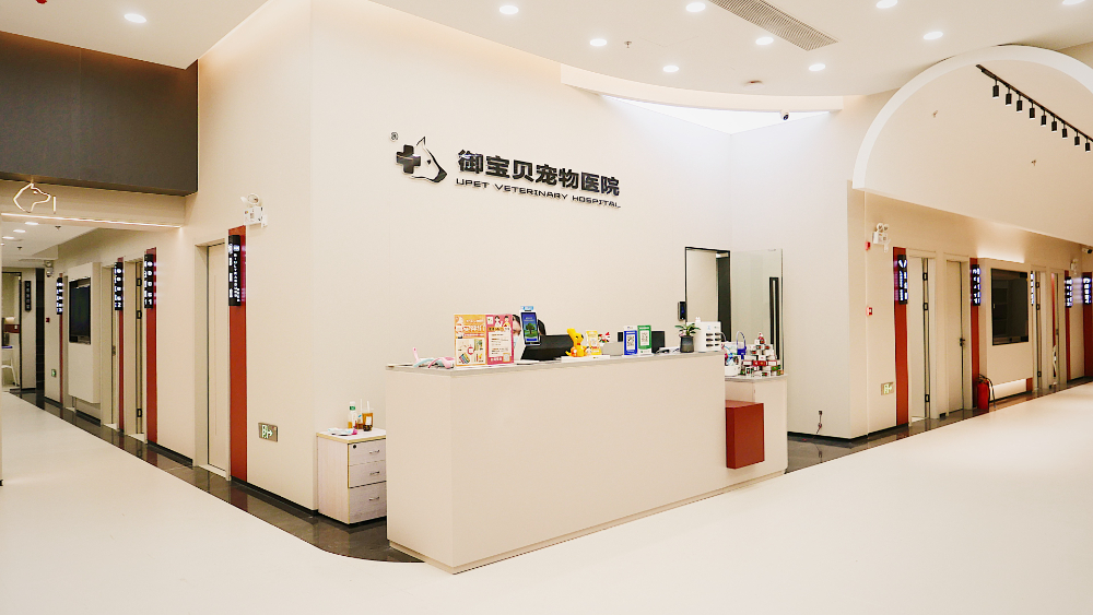 2026甄选厦门诚信的骨科动物医院，御宝贝宠物医院（枋...