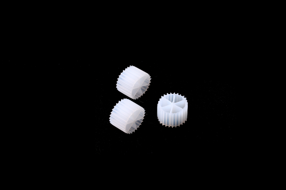 CO3A7950.JPG