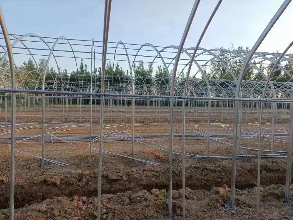天津农业大棚建设选择指南：如何找到靠谱的源头厂家