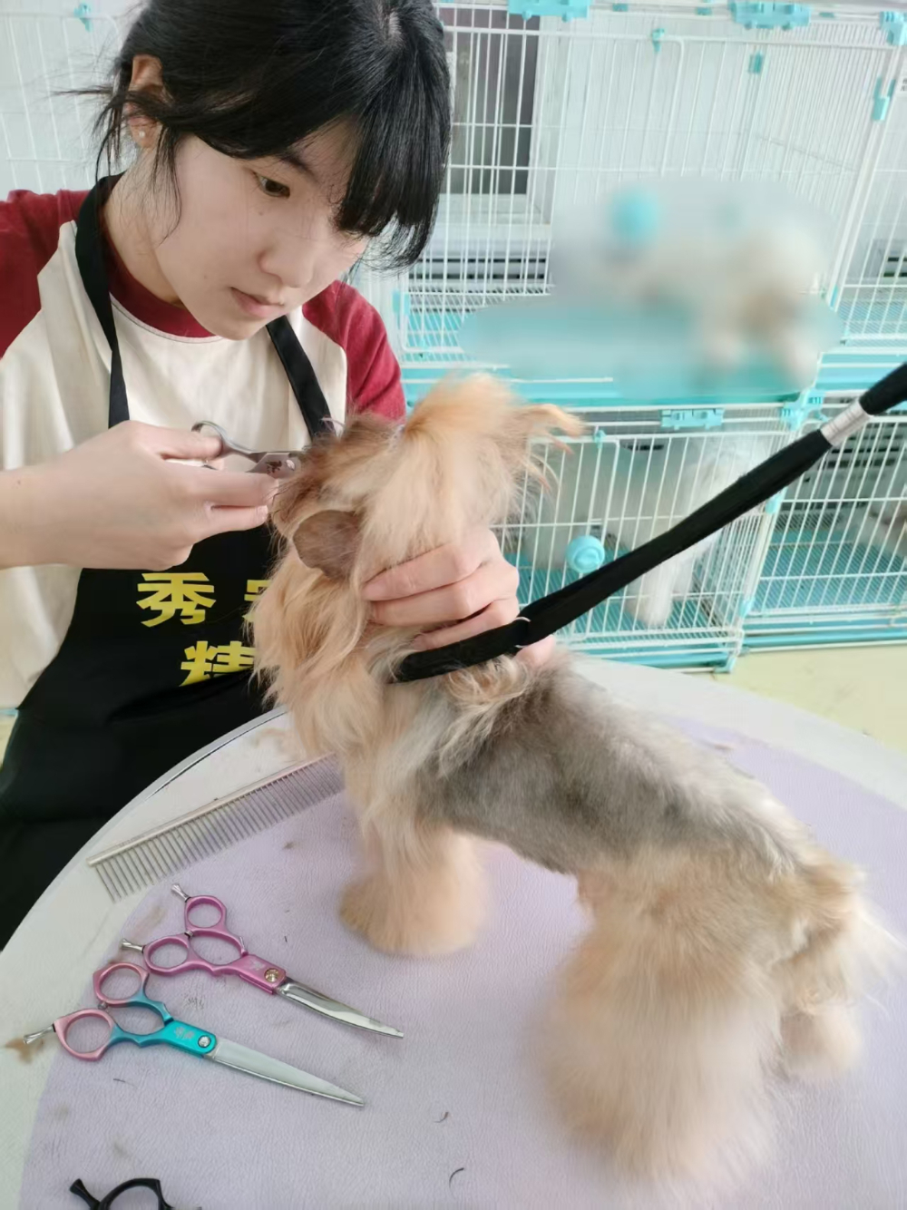 微信图片_20251117155555_464_119.jpg
