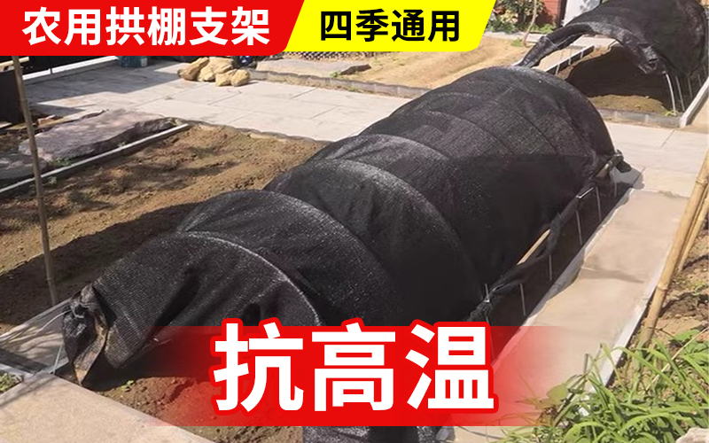 实心50.jpg