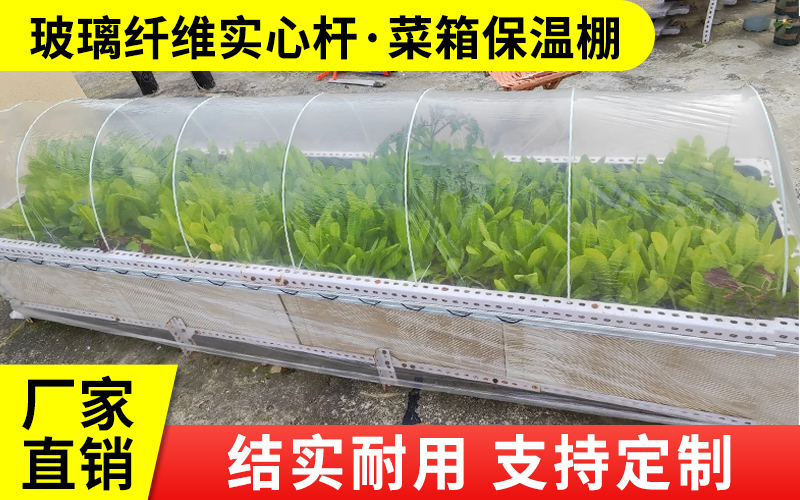 实心40.jpg