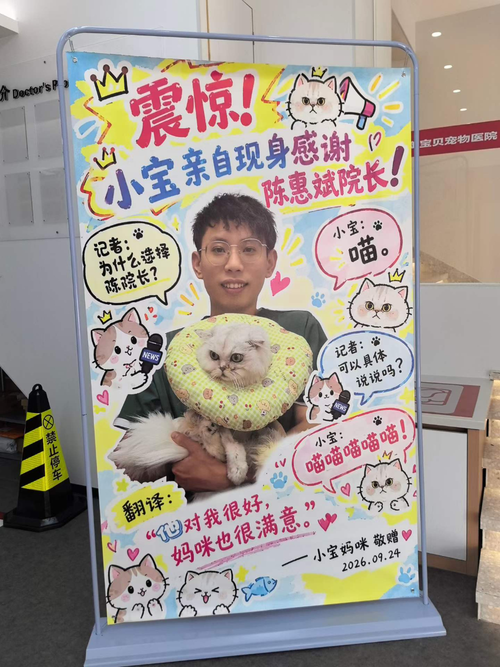 厦门兔子诊疗动物医院选择指南：靠谱机构筛选与评估维度