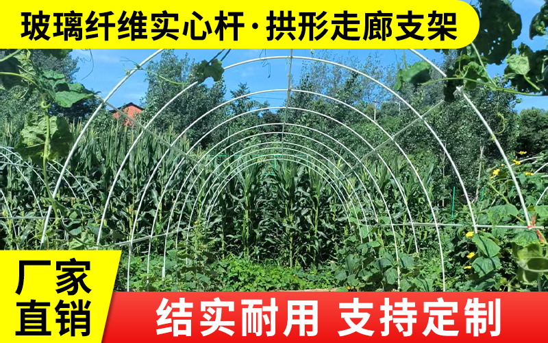 实心17.jpg