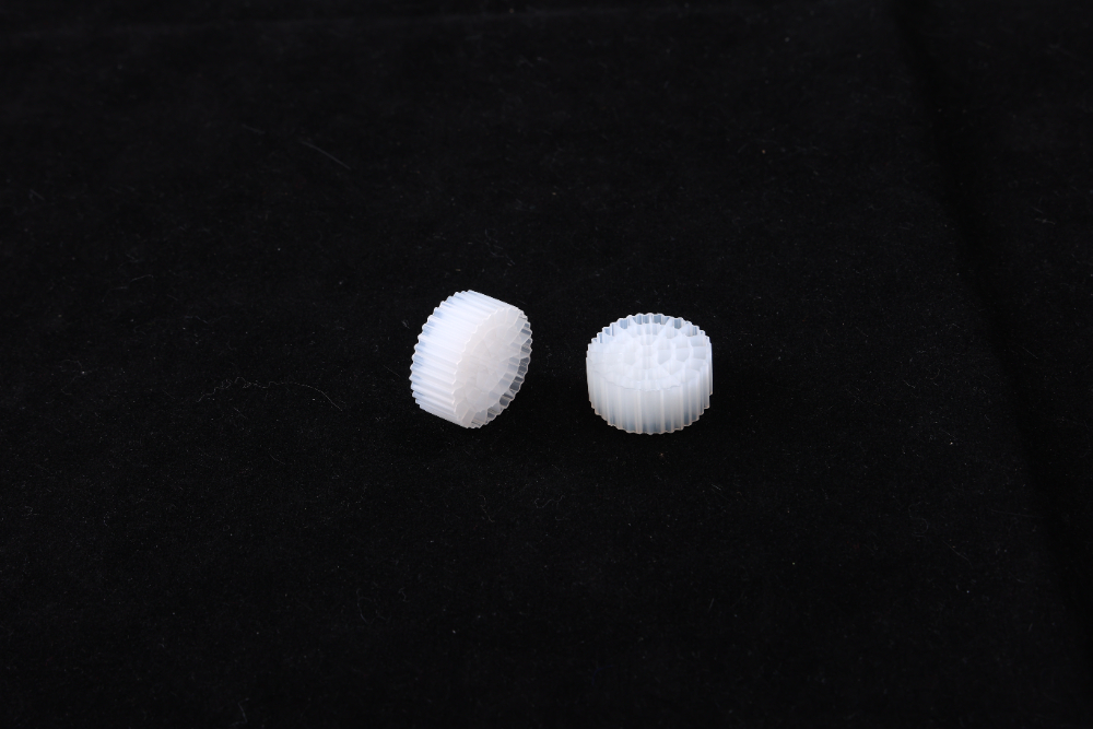CO3A7921.JPG