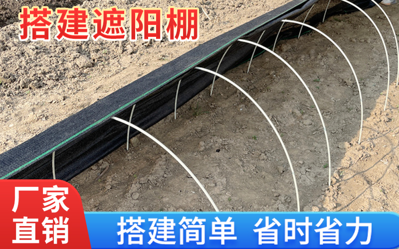 2026年陕西小拱棚支架厂家怎么选？玻璃纤维杆采购指南