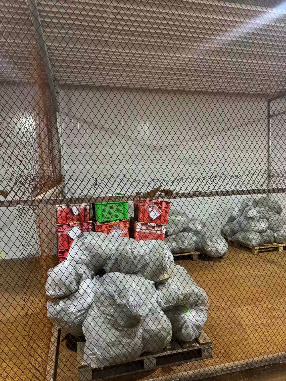 33bbb0e67b21e343e4c6b1eae5220e4f.jpg