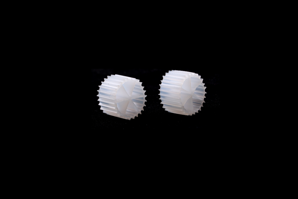 CO3A7933.JPG