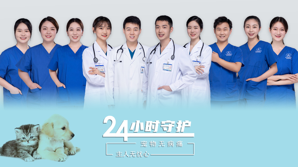 微信图片_20231111122152.jpg