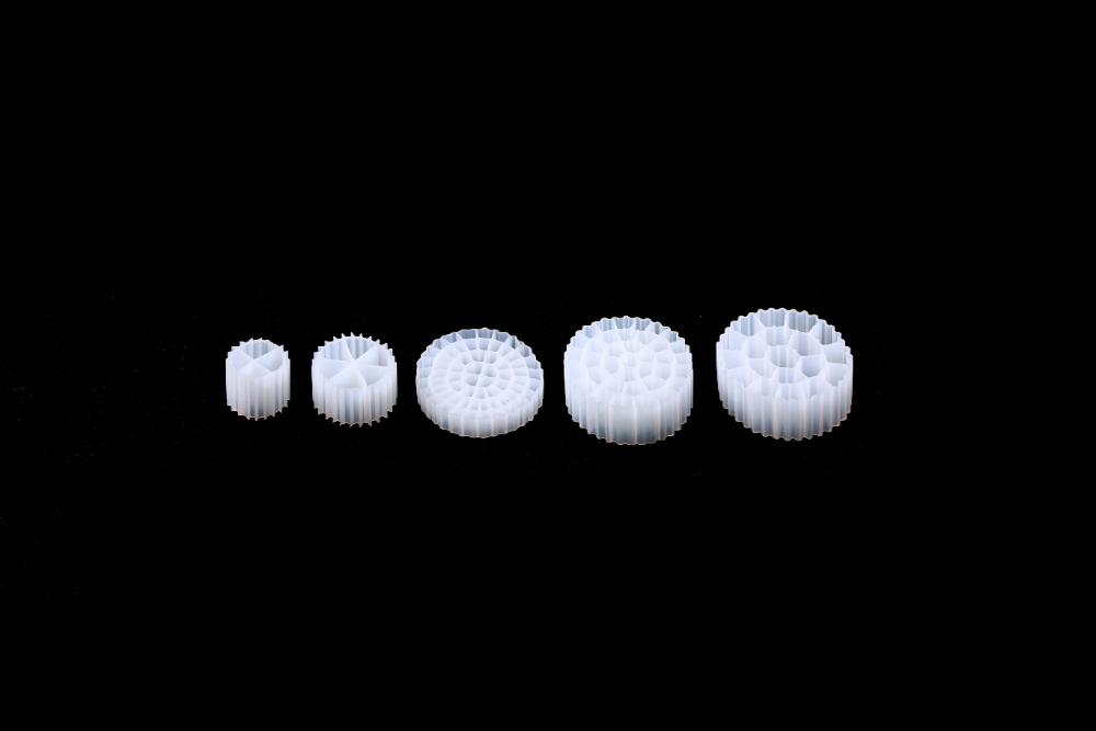 CO3A7948.JPG