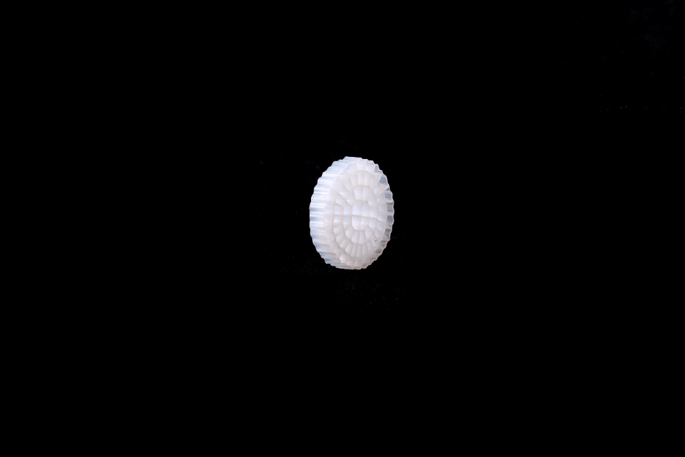CO3A7946.JPG