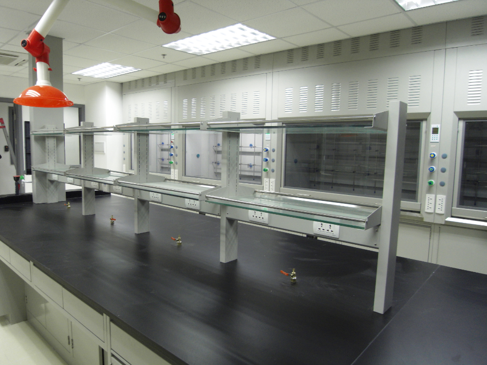 SDC11453.JPG