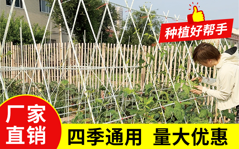 实心73.jpg